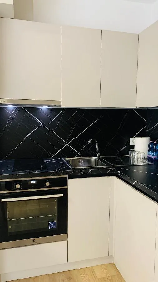 Proper Central Apartment Tirana