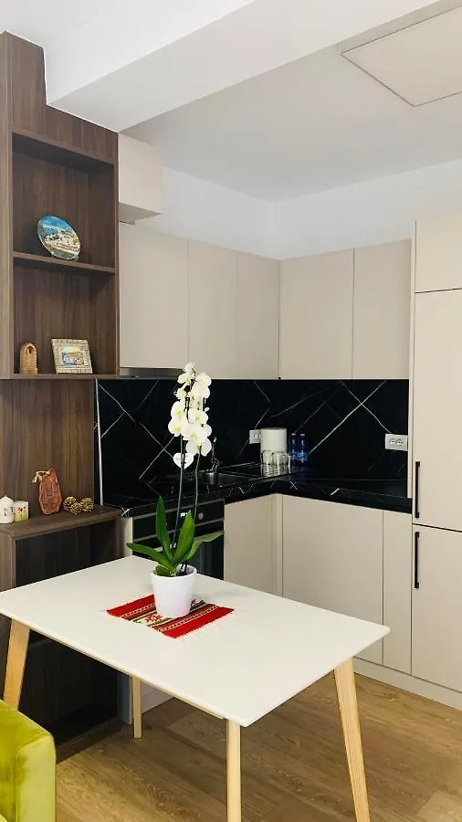 Proper Central Apartment Tirana Albania